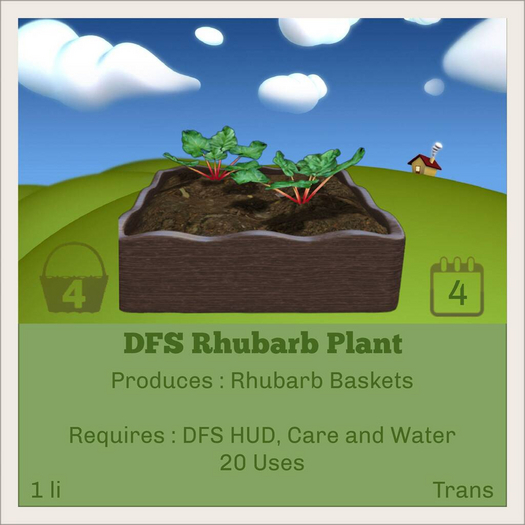 DFS Rhubarb Plant