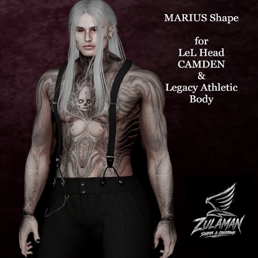 MARIUS SHAPE ( add me)