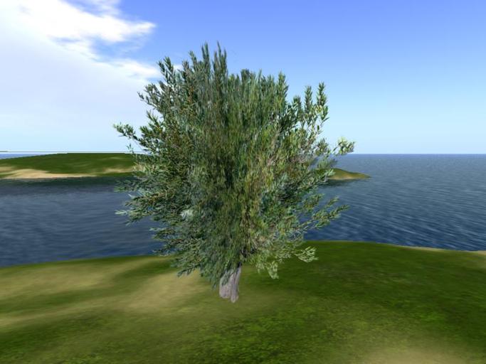 Arkads 1 Prim Tiny Capsule Eucalyptus