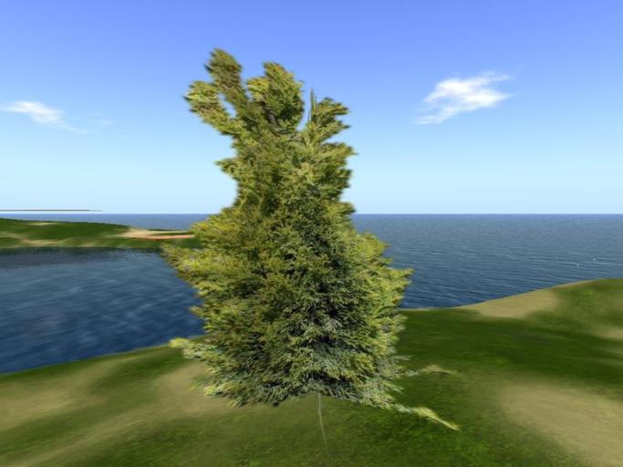 Arkads 1 Prim Italian Cypress v2