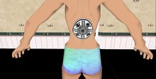 inca cosmos symbol back tat box