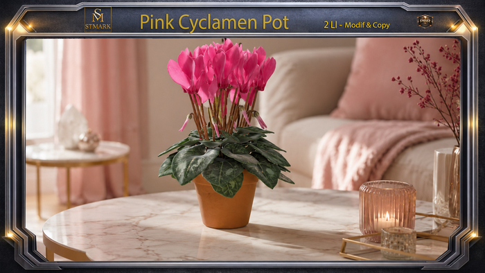  Pink Cyclamen Pot