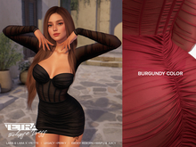 TETRA - Eclipse Dress (Burgundy)