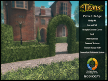 TITANS - Privet Hedge