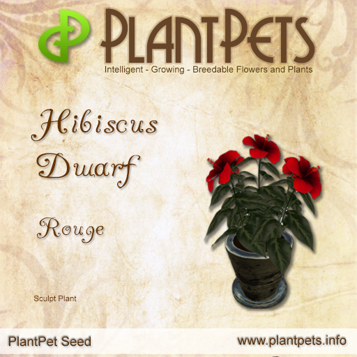 PlantPet Seed [Hibiscus Dwarf *Rouge*]