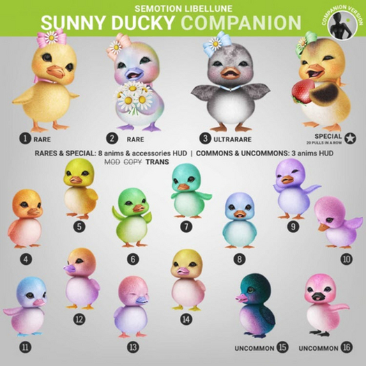 SEmotion Libellune Sunny Ducky Companion RARE 01