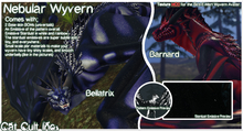Nebular Wyvern Bellatrix&Barnard