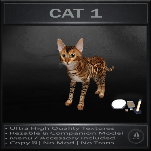 .:Bellart Studio:. Cat 1