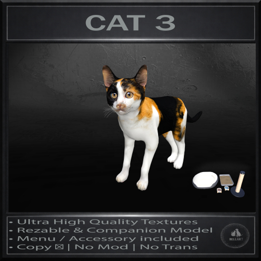.:Bellart Studio:. Cat 3