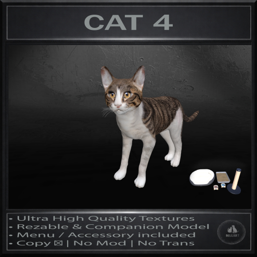 .:Bellart Studio:. Cat 4