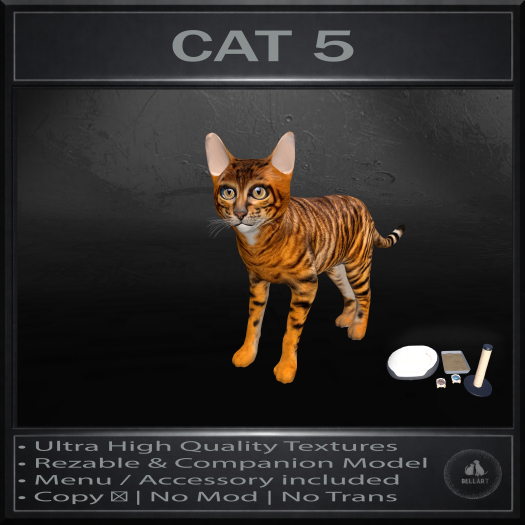 .:Bellart Studio:. Cat 5
