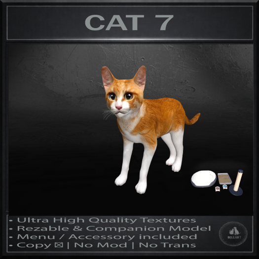 .:Bellart Studio:. Cat 7