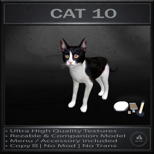 .:Bellart Studio:. Cat 10
