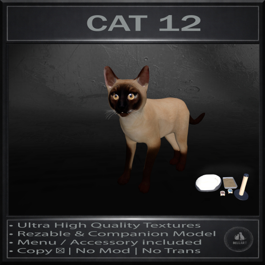 .:Bellart Studio:. Cat 12