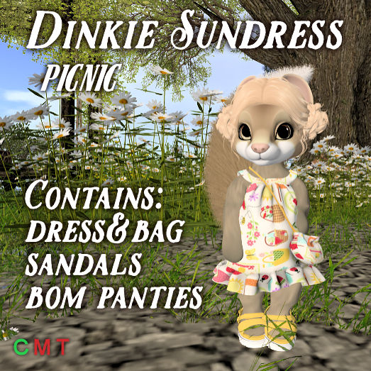 Dinkie Sundress Picnic