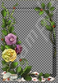 Wonderland 2.7 FULL PERMS