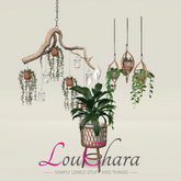 LouChara Matilda Plants 