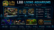 LBB - Aquarium