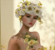 *LODE* Accessory - Malus Branch [violet]