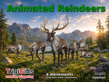 Reindeer