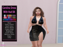 Carolina Dress With Hud B4
