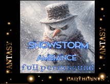 Bunny's Sounds-SnowStorm Ambience-full perm storm sounds
