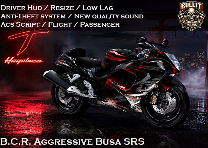 B.C.R. Aggressive Busa SRS 