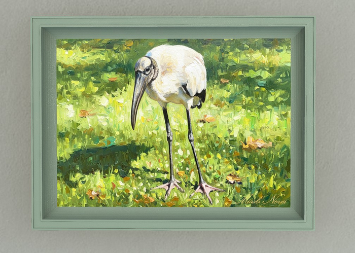 Picture - Bald Stork