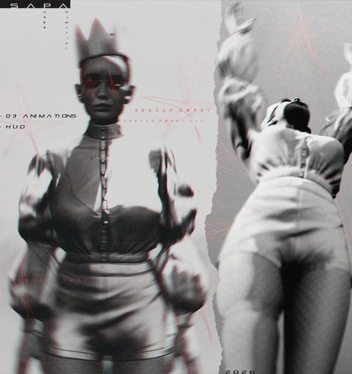 SAPA poses 334 