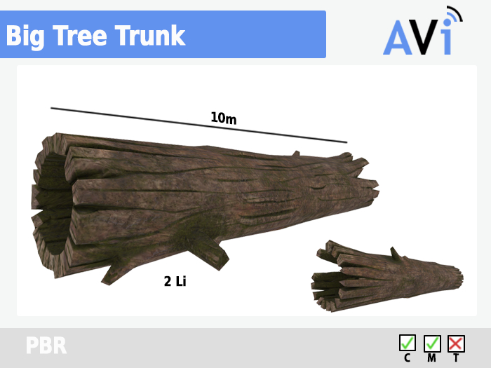 *AVI* - Big Tree Trunk