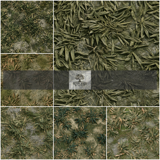 TB - BAMBOO FOREST TERRAIN