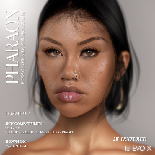 PHARAON - FEMME 017  / Skin EvoX