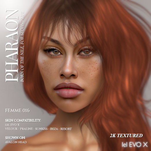 PHARAON - FEMME 016 / Skin EvoX