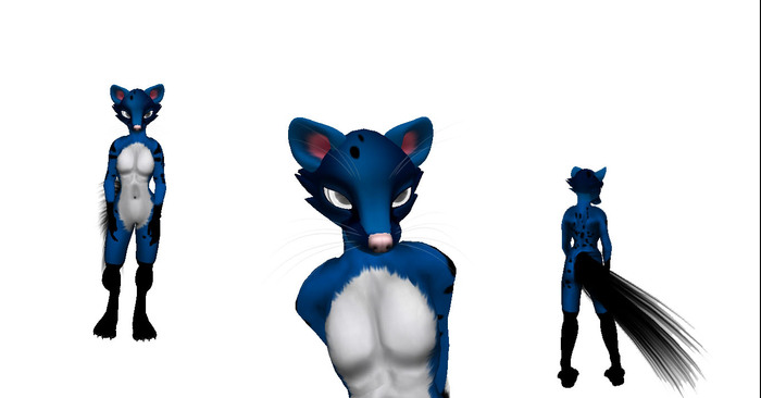 ringtail - leopardo azul