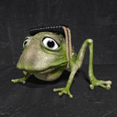 Cica's froggo chair 2
