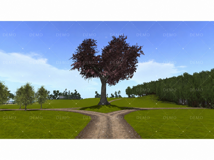 Crossroads +picture+info+
