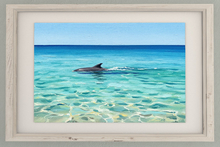 Picture - Dolphin in water