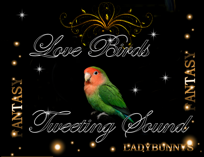 Bunny's Sounds -LoveBirds Tweeting Looped-full perm love Birds  Sound