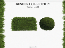 MINIMAL - Bushes Collection Thuyas
