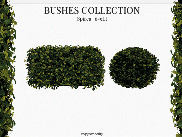 MINIMAL - Bushes Collection Spirea