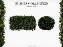 MINIMAL - Bushes Collection Spirea
