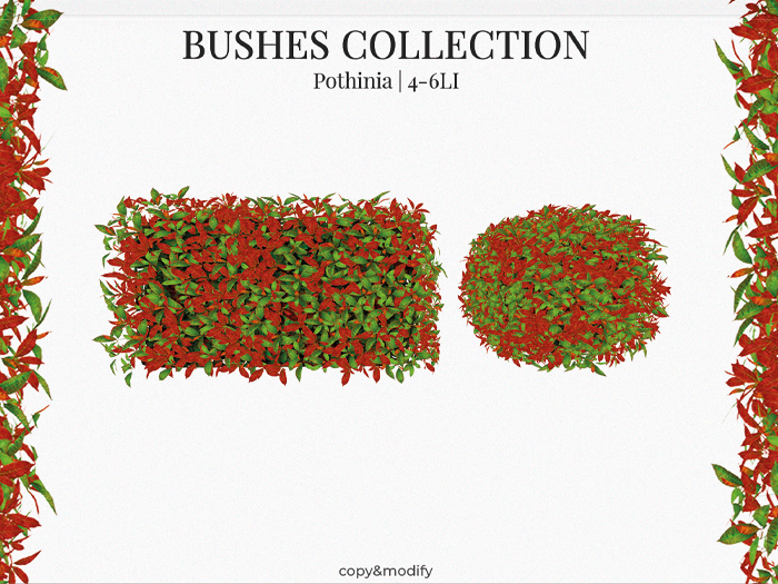 MINIMAL - Bushes Collection Pothinia