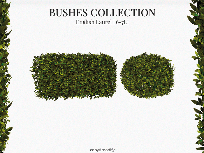 MINIMAL - Bushes Collection English Laurel