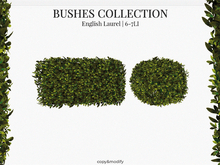 MINIMAL - Bushes Collection English Laurel