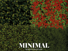 MINIMAL - Bushes Collection FATPACK