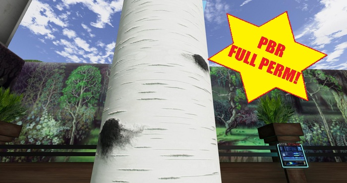 PBR Birch Bark