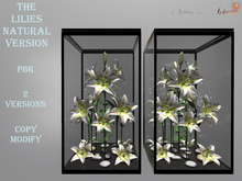 Lilies