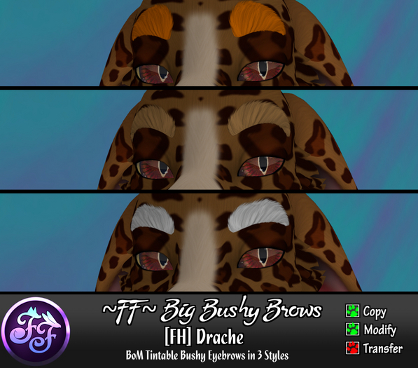 ~FF~ BBB [FH Drache]