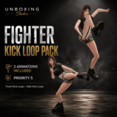 Fighter Kick Loop Animation Pack