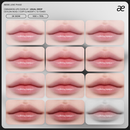 "aeoo" cinnamon lips overlay - fatpack